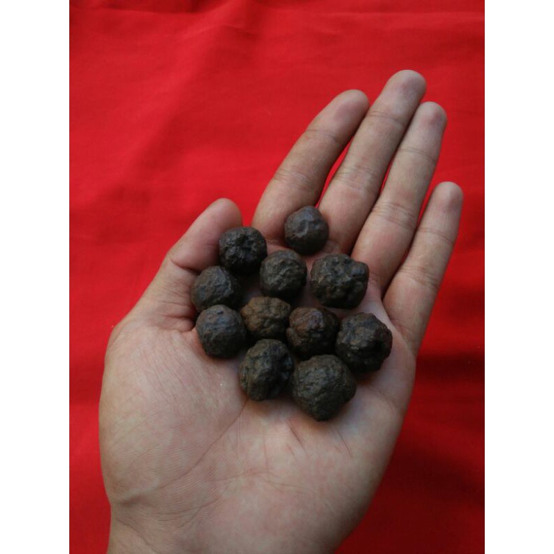 Munta Besi  Monta Bassi Aktif