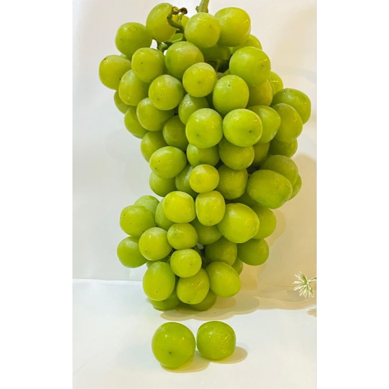 

Anggur Muscat Curah 250gr