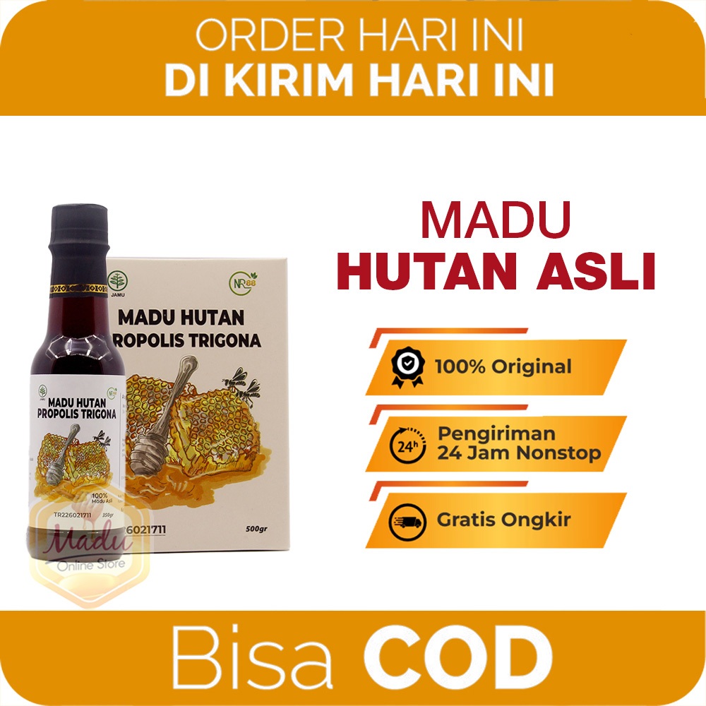 MADU HUTAN PROPOLIS TRIGONA Obat Kolesterol Paling Ampuh Madu Hutan Obat Kolesterol Ampuh Original