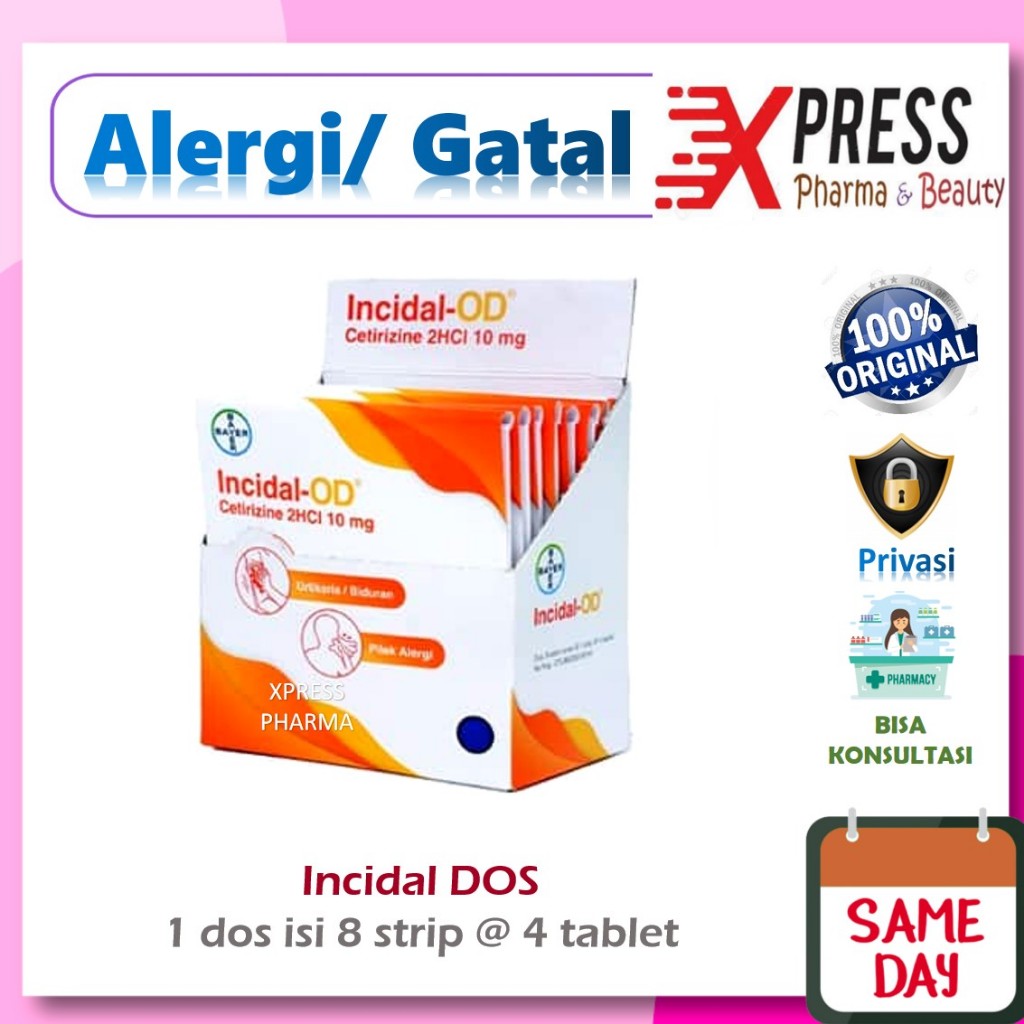 XPRESS  DOS Incidal OD isi 8 strip @ 4 tablet kapsul Gatal alergi Obat isi Tablet Insidal Box Boks D
