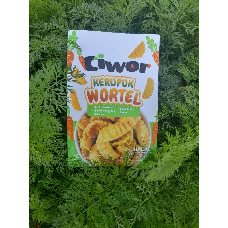 

ASANI FARM Kerupuk Wortel Bervarian Rasa 100gr