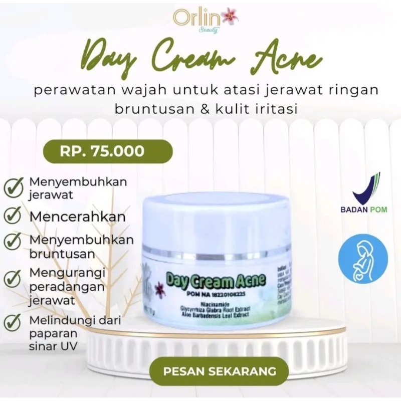 DAY Cream Acne Orlin Beauty Krim Siang Obat Jerawat kempes