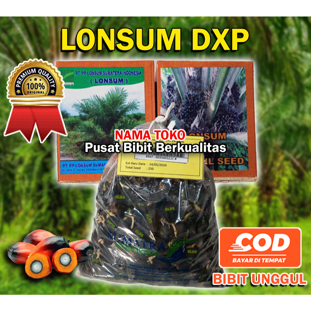 BIBIT SAWIT LONSUM DXP UNGGUL ( BERSERTIFIKAT)