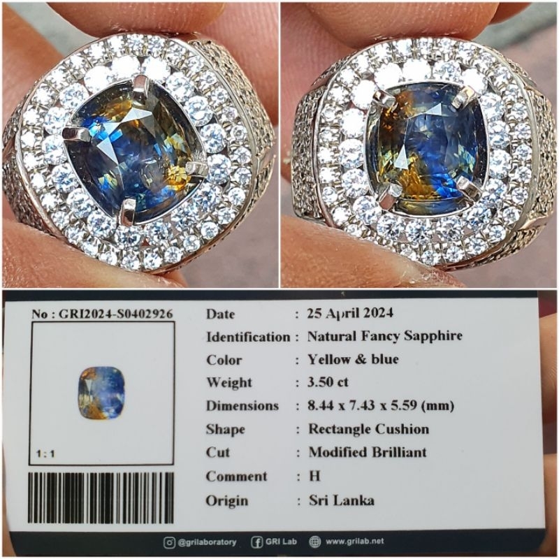 natural fancy sapphire srilanka 3.50ct Blue & Yellow Heated Only ring perak mikrosetting memo GRI