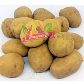 

Kentang Dieng 500 gram