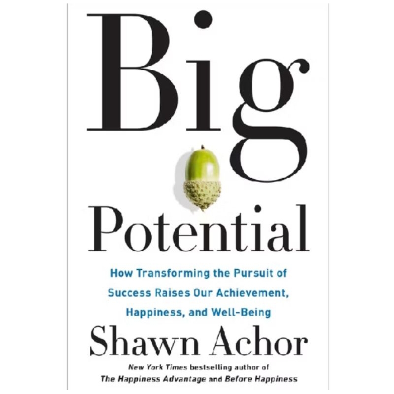 

BUKU BIG POTENTIAL SHAWN ACHOR