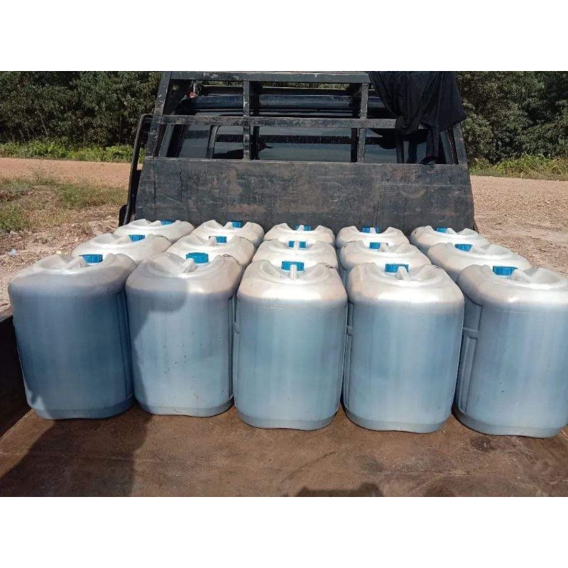 

Madu murni hutan riau nektar bunga pohon akasia kemasan drigen 50kg murni 100% jika tidak murni uang anda kembali