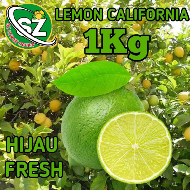 

Lemon California Hijau 1kg Fresh Asli Garut SZ Lemon Squad