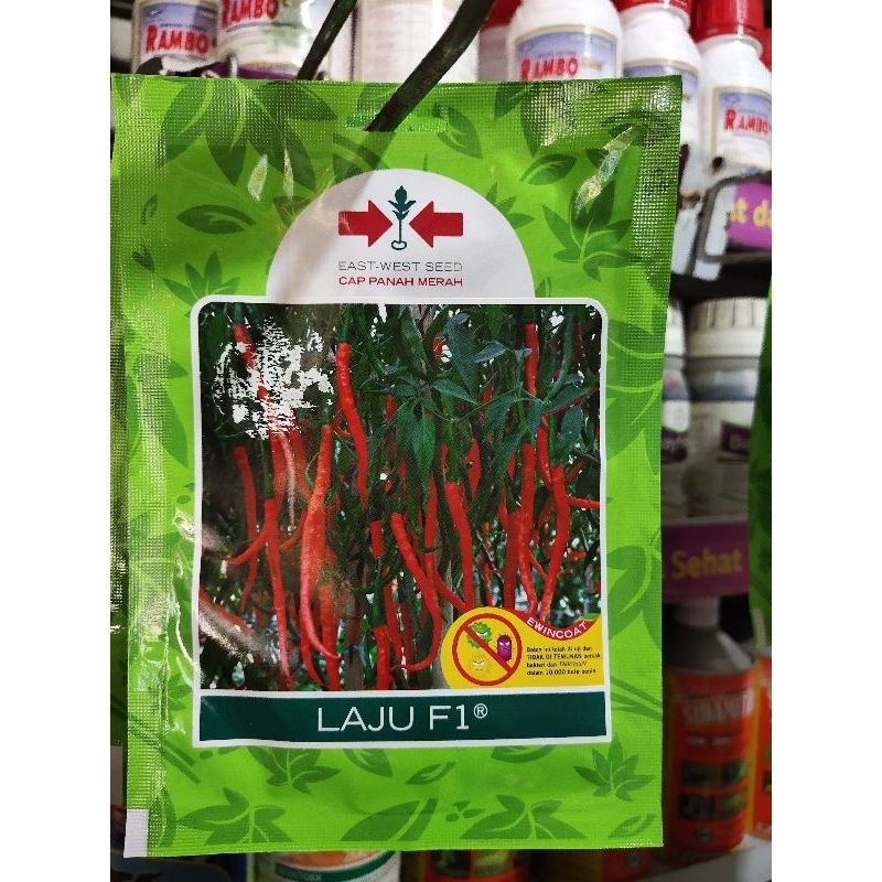 BIBIT CABE KERITING SUPER