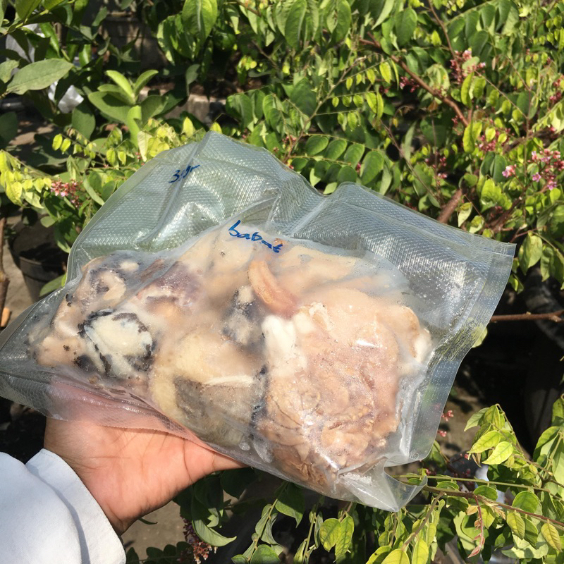 

Jeroan Kambing Domba Muda Premium