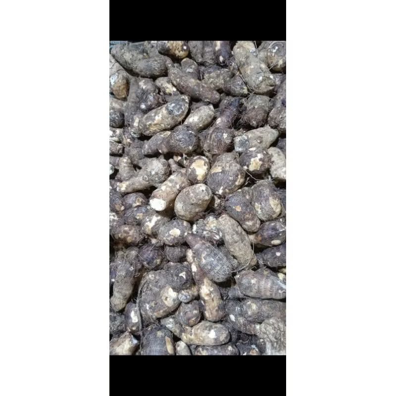

TALAS 1kg