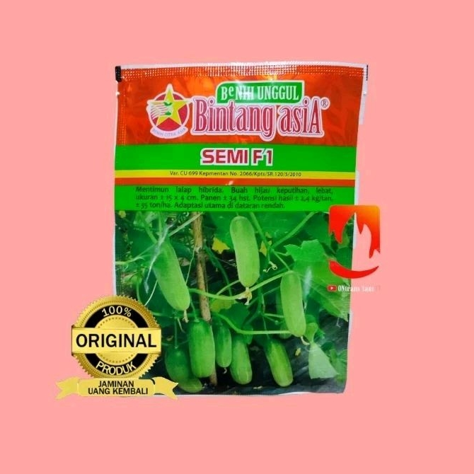 Benih timun baby SEMI F1 20gr. timun lalap hibrida