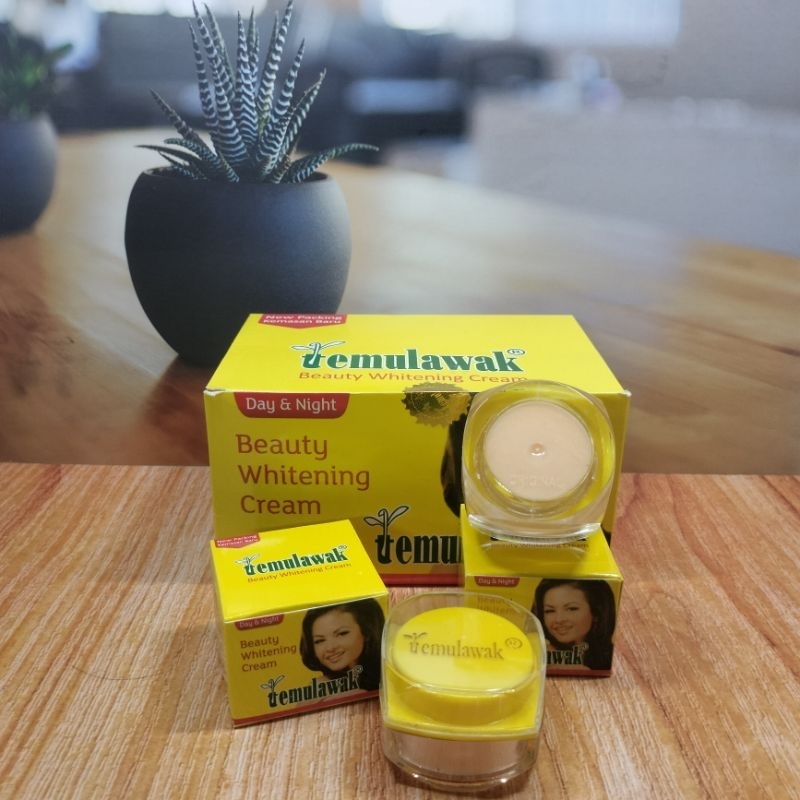 cream temulawak beauty day & night super ori lusinan