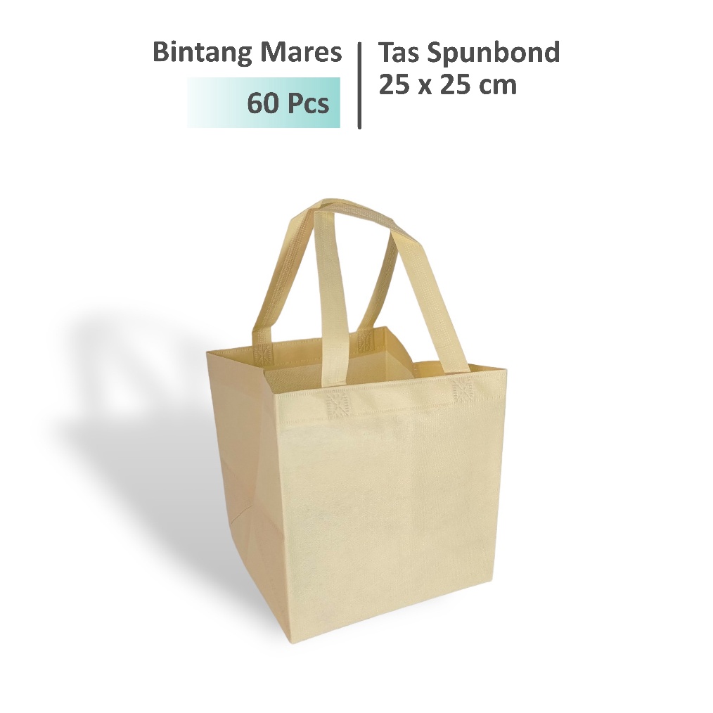 

6 Pcs Tas Hajatan 25x25 Tas Box Nasi 25x25 Tas Spunbond