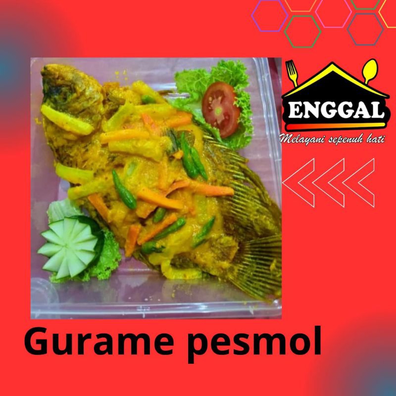 

Gurami Pesmol / gurame pesmol ikan segar