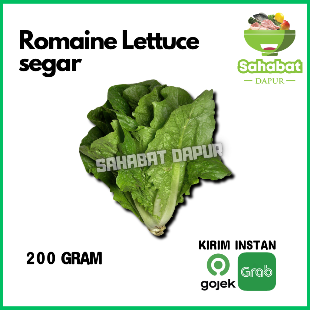 

Romaine Segar / Romaine Lettuce 200 gram