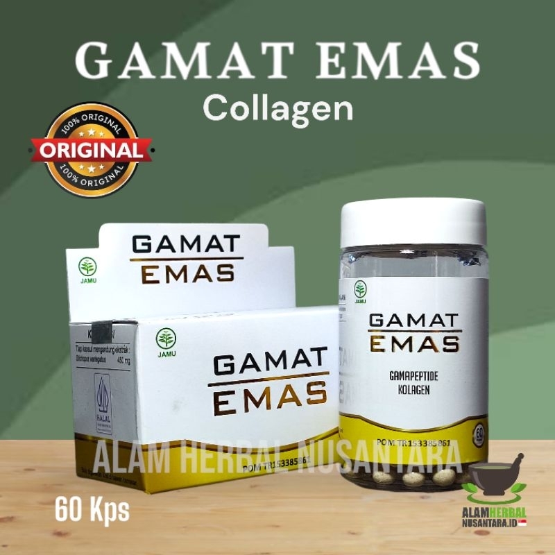 GAMAT EMAS OBAT HERBAL TUMOR KANKER ASAM URAT NYERI SENDI TULANG GAMAT EMAS AL AFIAT
