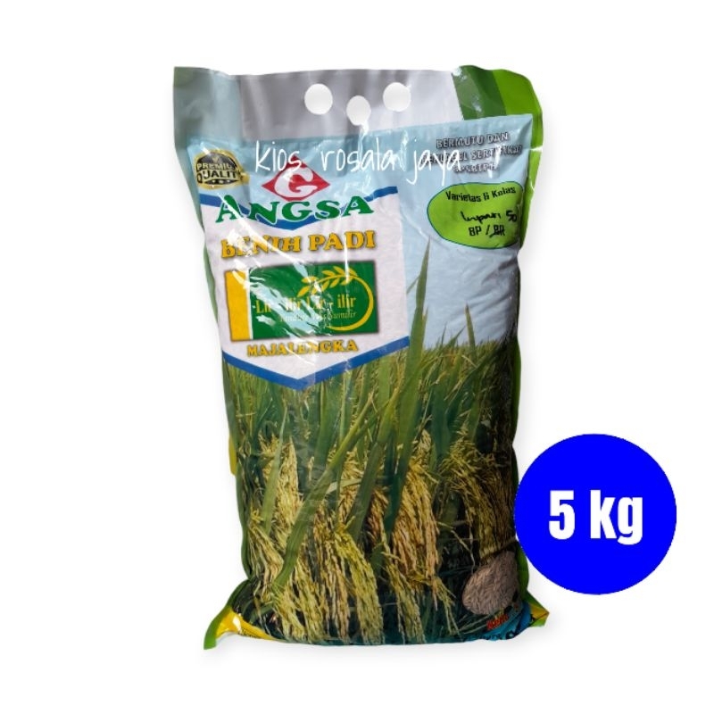 Benih Padi Terbaru INPARI 50 MAREM