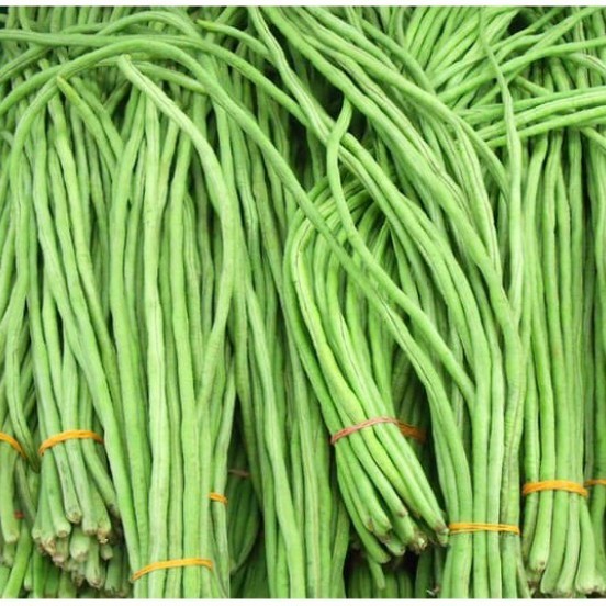

KACANG PANJANG SAYUR FRESH 250 GR