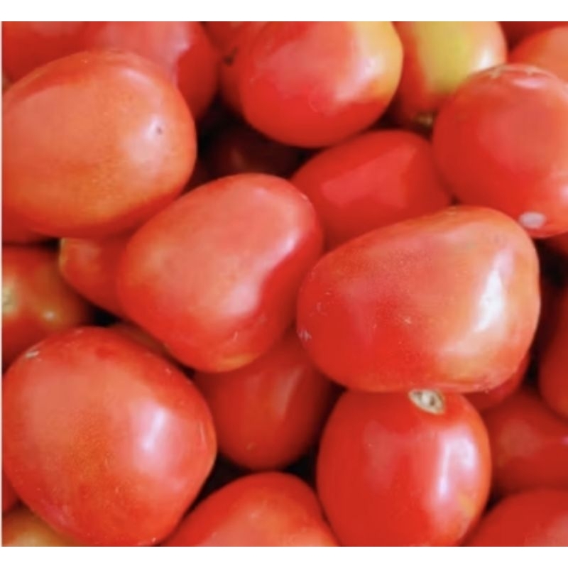 

Buah Tomat merah segar 500gram/Tomat sayur segar.