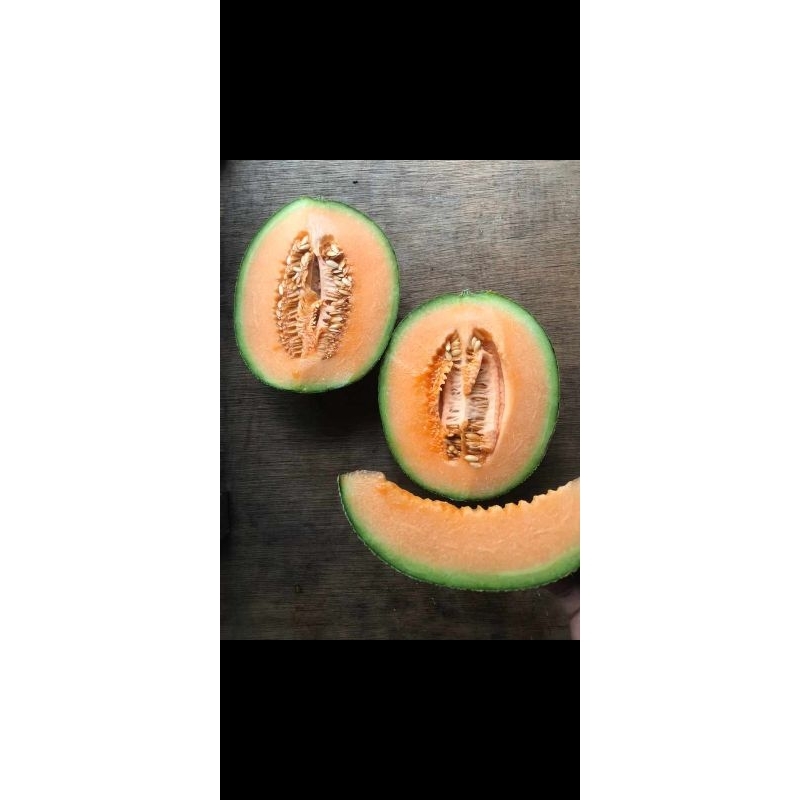 melon bogatani jepang