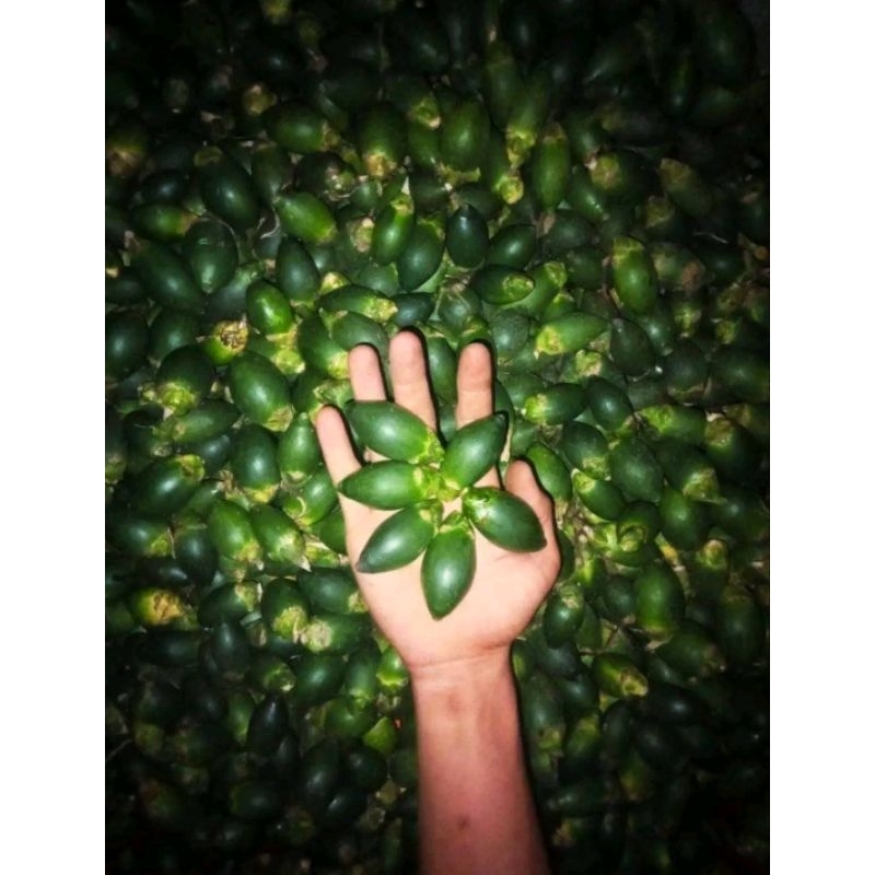 

jambe muda/pinang muda beli min 10 biji
