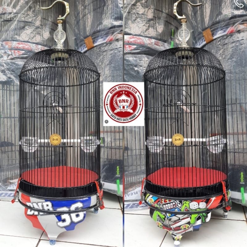 SANGKAR LOVE BIRD BNR DOMINO RACING