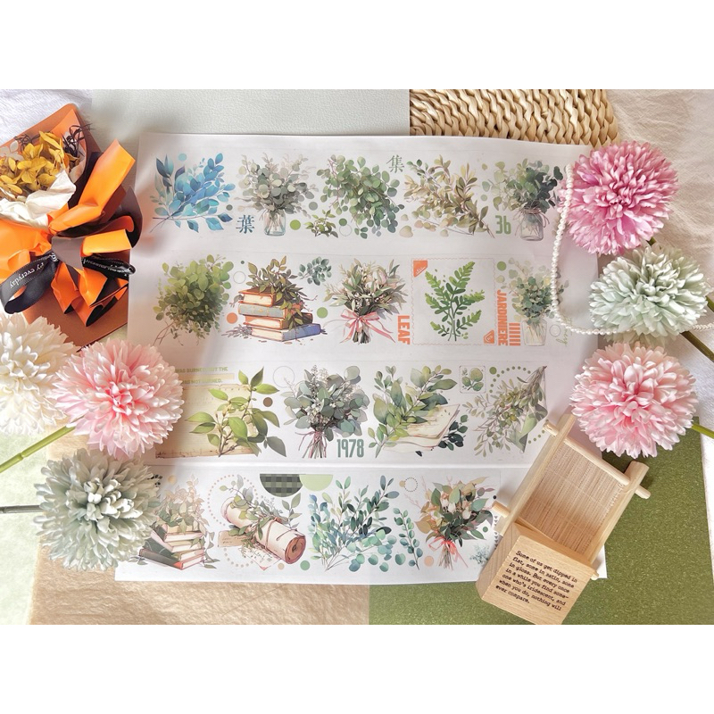 

(Kiricart) BLACK TEA Aucalyptus PET Sticker Aesthetic / Journaling / Scrapbooking / DIY / Art and Craft