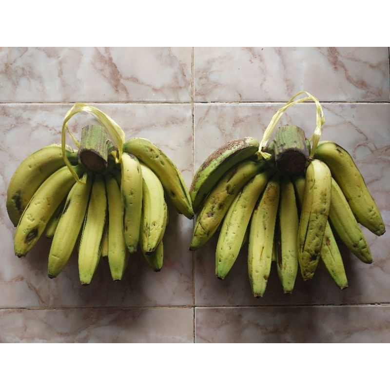 

Pisang Ambon / Kepok Kuning / Lampung / Nangka / Tanduk / Raja Sereh