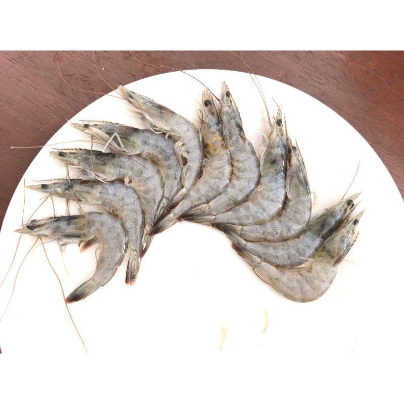 

UDANG SUPER