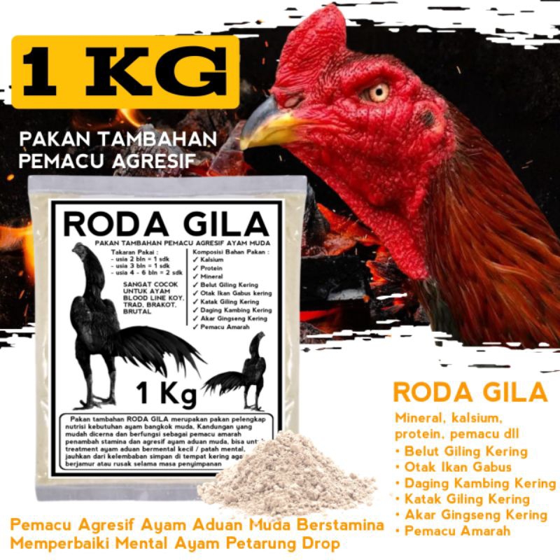 koyngon brakot pakoy brutal pakan ayam pemacu agresif