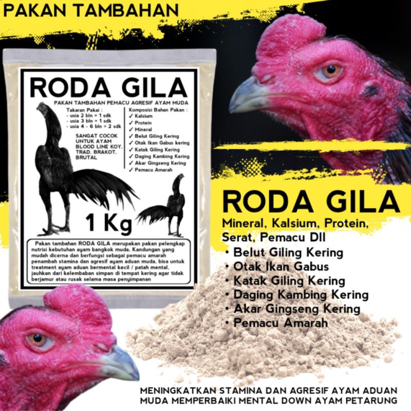 pakan pemacu agresif pakoy koyngon koytrad muda