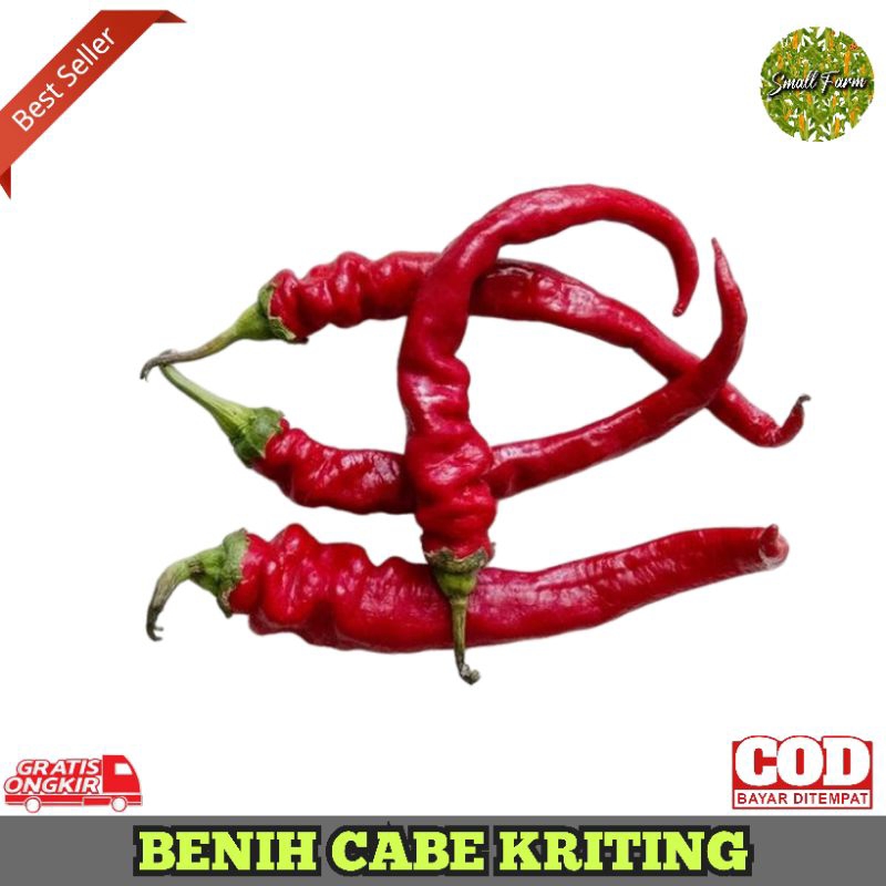 Benih Cabe kriting merah isi 30 Benih