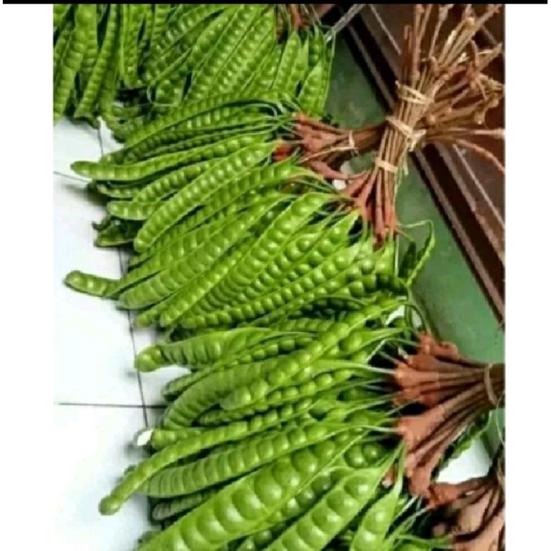 

pete 1 ikat dapat 10 papan