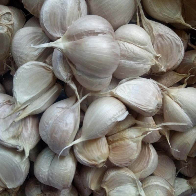 

Bawang Putih Kating 1Kg, aroma makanan, pelezat makanan, penambah nafsu makan.