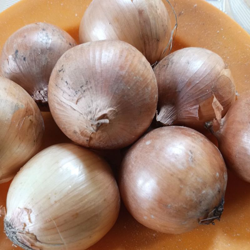 

Bawang Bombay 500 gram