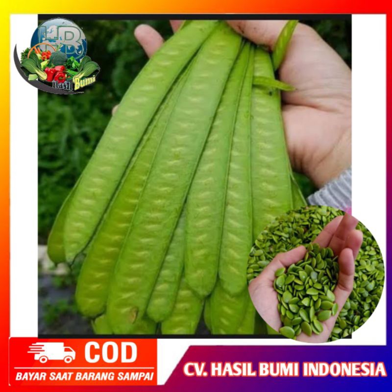 

Pete cina kupas segar jenis lamtoro 100gram