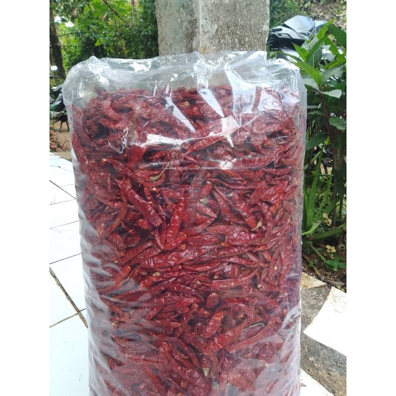 

Cabe Teja Kering Pedas Kemasan 5 Kg