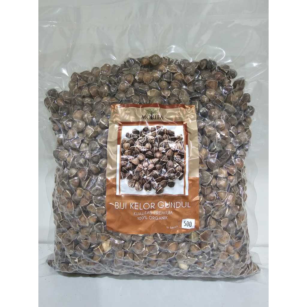 

Biji Kelor Hitam Gundul Kering Asli dari Pohon Biji Tua Obat Herbal Lamuzi Organic Moringa Seeds