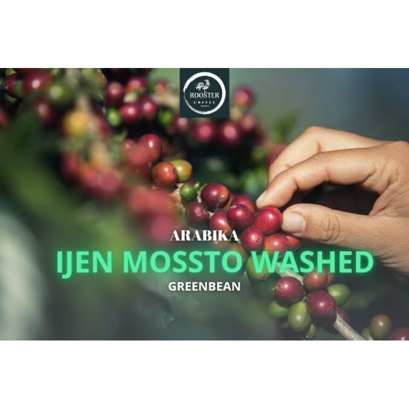 

GREEN BEAN IJEN MOSSTO WASHED 5KG