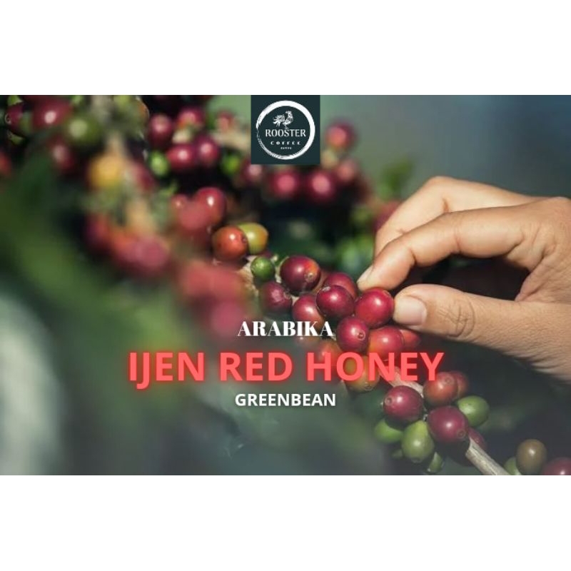 

GREEN BEAN IJEN RED HONEY 5KG