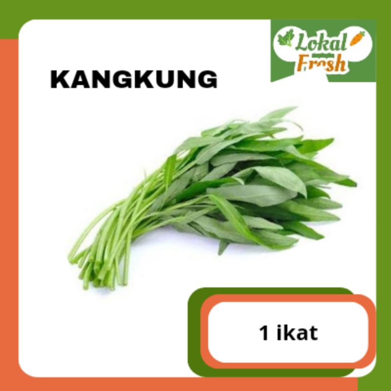 

KANGKUNG | 1 IKAT |. LOKAL FRESH SBY