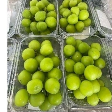

anggur muscat
