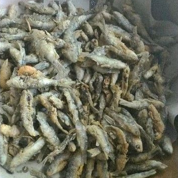 

wader goreng 1kg
