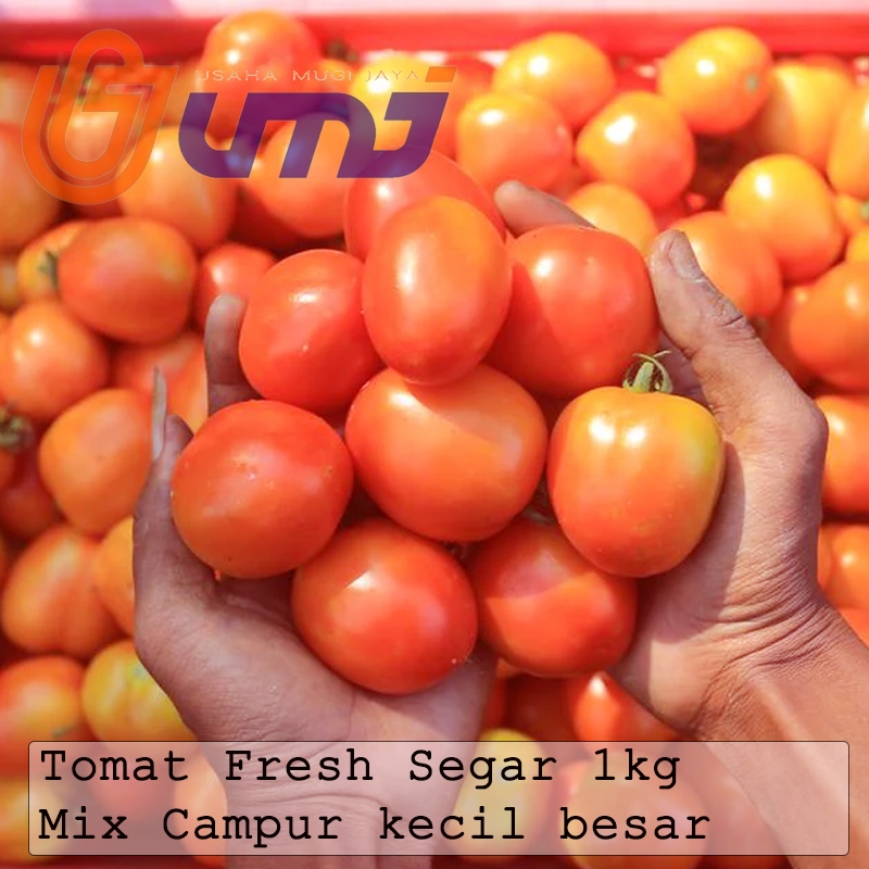 

Tomat Merah Fresh Segar Berat 1 kg | UMJ Farm