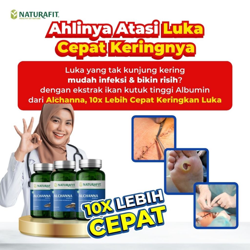 Alchanna ekstrak ikan gabus original pasca operasi dan luka diabetes melitus ekstrak ikan gabus
