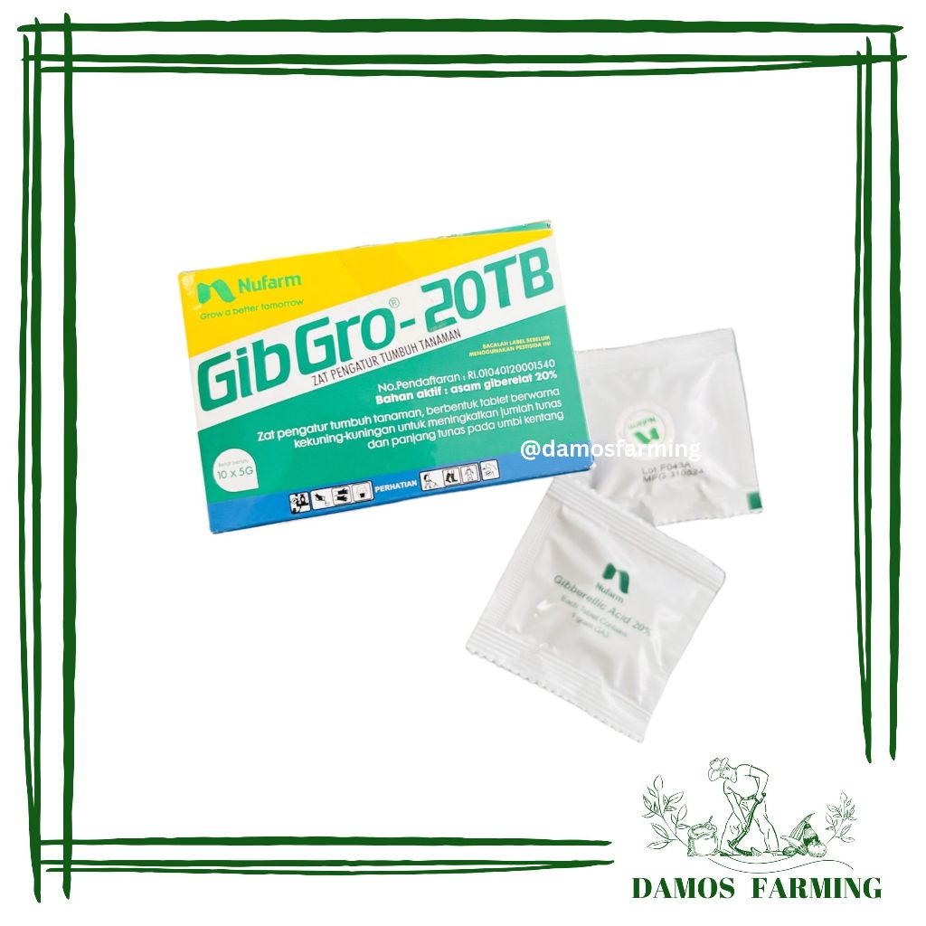 ZPT Gibgro - 20 TB 5 gram