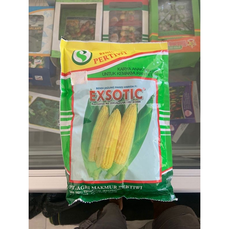 Jagung manis exotic (250gr)