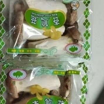 

jamur king oyster 1 pack
