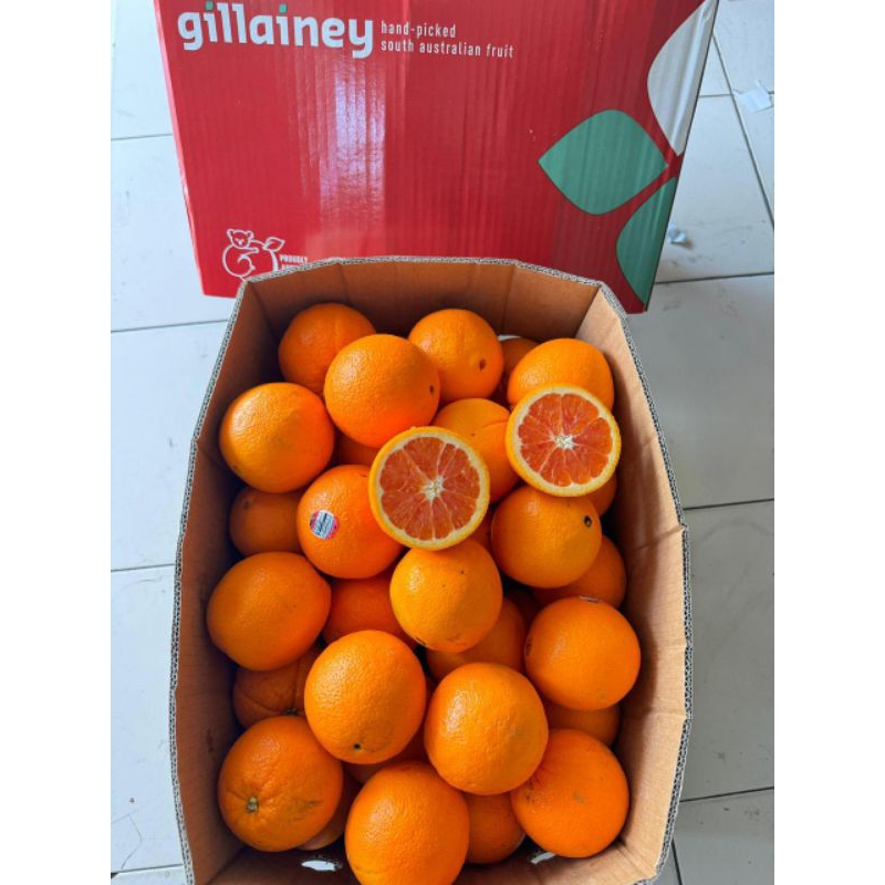 

RB Jeruk Sunkiest / Sunkis 1Kg